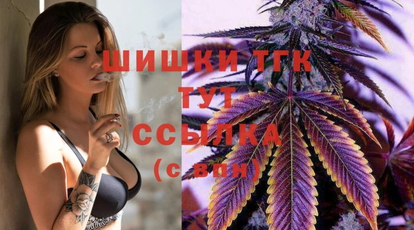 стаф Бородино