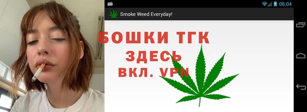 стаф Бородино