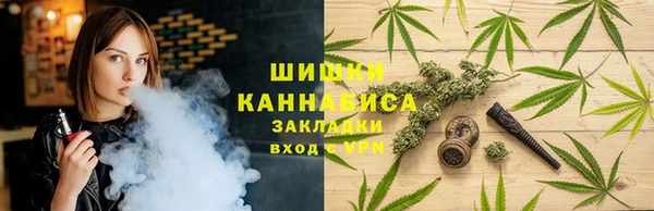 амф Бронницы